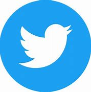 Image result for Light Blue Twitter Icon