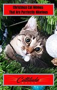 Image result for Christmas Cat Meme