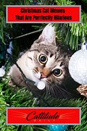 Image result for Christmas Kitty Meme