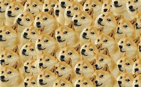 Image result for Dog Nose Meme
