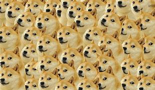 Image result for Teef Dog Meme Roblox