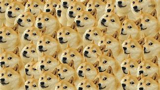 Image result for Doge Meme Blank
