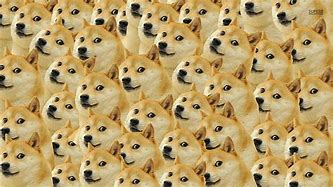Image result for Doggo Memes Doge