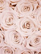 Image result for Computer Wallpaper Aesthetic Rose Gold