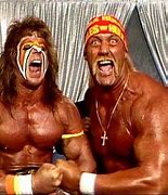 Image result for WWF Wrestlers Now