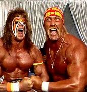 Image result for WWF Wrestling Superstars