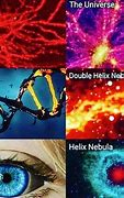 Image result for Cells Look Like Galaxies