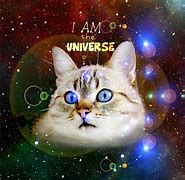 Image result for Universe Cat Eye
