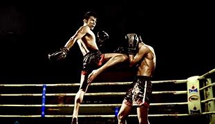 Image result for Muay Thai Martial Arts