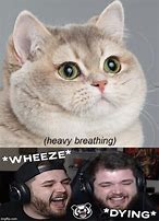 Image result for Heavy Breathing Funny Memes