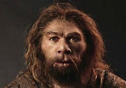 Image result for hominicaco