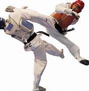 Image result for Taekwondo PNG