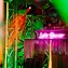 Image result for Neon Dance Sign