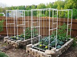 Image result for 20 Square Foot Garden