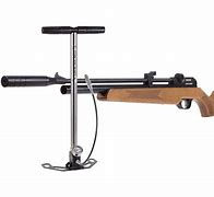 Image result for Compressed Gas Air Rifle