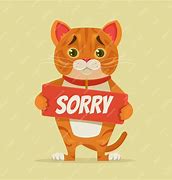 Image result for Sorry Cat Face