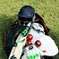 Image result for Cricket Aesthetic Boeling