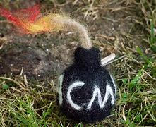 Image result for Acme Sticky Bomb