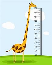 Image result for Measuring a Baby Clip Art