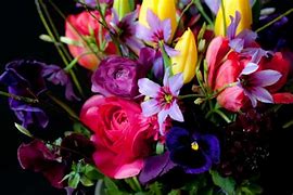 Image result for Beautiful Flowers with Black Background