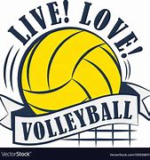 Image result for Yellow Volleyball