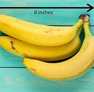 Image result for 8 Inch Objects