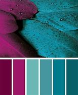 Image result for Tourquise Blue and Magenta