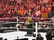 Image result for John Cena Purple Attire