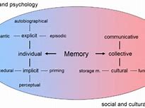 Image result for Memory Wikipedia