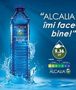 Image result for alcaleesa