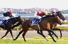 Image result for Horse Racing Background Images