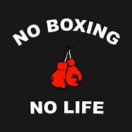 Image result for no boxing no life gym