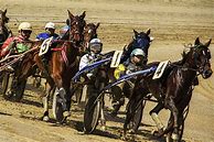 Image result for Horse Racing Corduroy Men