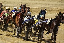 Image result for Brony British Horse Racing