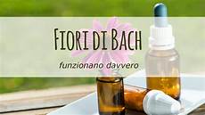 fiori di bach farmacia fiori di bach funzionano davvero fiori di bach farmacia fiori di bach funzionano davvero