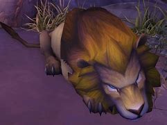 Image result for WoW Lion Race