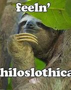 Image result for Sloth Haircut Meme