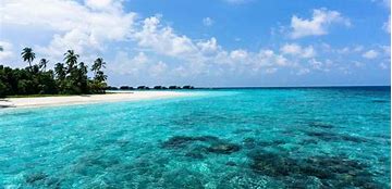 Image result for Best Vacation Beaches in USA