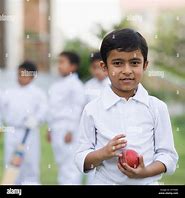 Image result for Cricket Ball