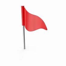 Image result for Red Flag Pin