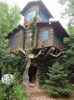 Image result for Wood Forest Tree Houses
