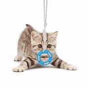 Image result for Dog Toys for Chewers