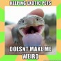 Image result for Reptile Memes