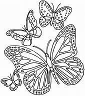Image result for Dessin De Papillons à Imprimer