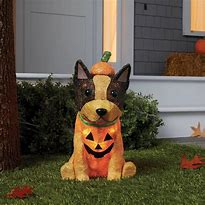 Image result for Halloween Dog Decor
