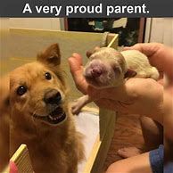 Image result for Proud Parent Look Funny