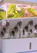 Image result for Hydroponic Grow Kit