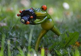 Image result for Funny Frogs with Teeth