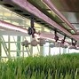 Image result for Extrusion Process of Feed and Fodder