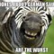 Image result for Funny Zebra Memes